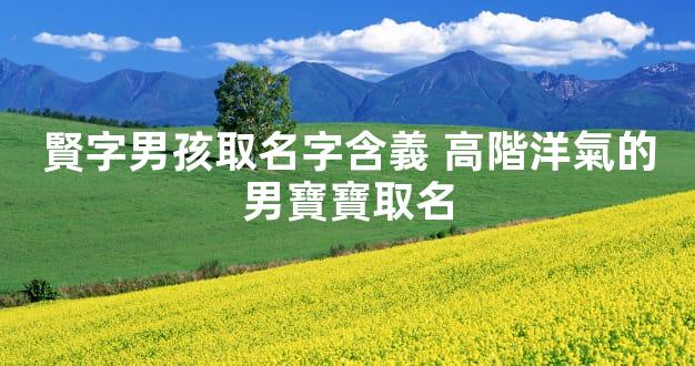 賢字男孩取名字含義 高階洋氣的男寶寶取名